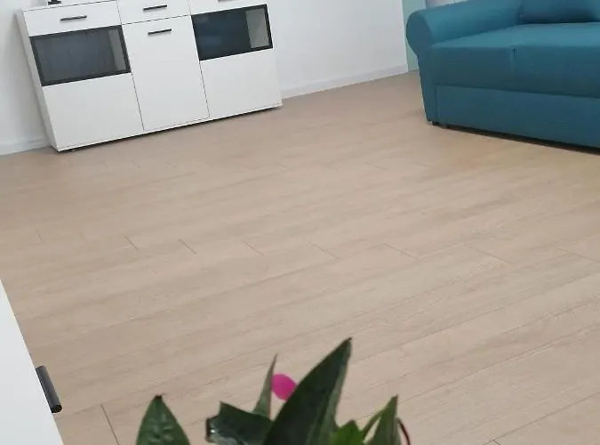 Locatia Perfecta In Centru Kolozsvár